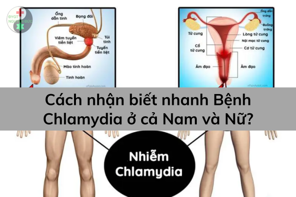 Cách nhận biết nhanh bệnh Chlamydia ở cả nam và nữ (1)