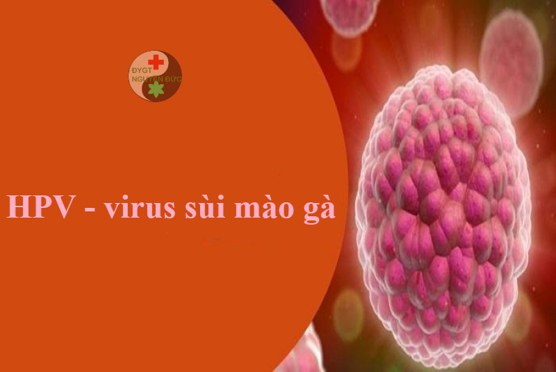 Virus HPV rất nguy hiểm là mầm móng gây sùi mào gà