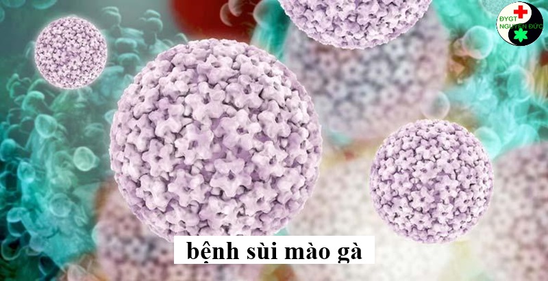 Ngừa HPV bằng các biện pháp khoa học