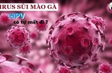 Virus sùi mào gà HPV có tự mất đi